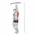Lever One Arm Lateral High Row