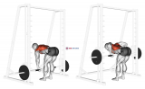Smith Bent Over Row
