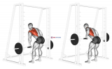 Smith One Arm Row