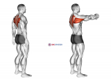 Upper Back Stretch