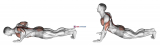 Upward Facing Dog