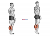 Bodyweight Standing Calf Raise