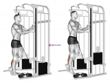 Cable Standing One Leg Calf Raise