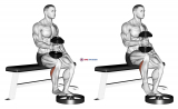 Dumbbell Seated One Leg Calf Raise – Hammer Grip