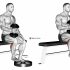 Dumbbell Seated Calf Raise