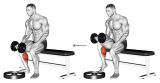 Dumbbell Seated One Leg Calf Raise – Palm up