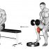 Dumbbell One arm Revers Wrist Curl