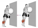 Exercise Ball on the Wall Calf Raise