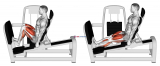 Lever Seated Squat Calf Raise on Leg Press Machine