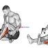 Dumbbell Lying One Arm Supinated Triceps Extension