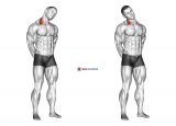 Neck Side Stretch