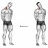 Cable Standing Shoulder External Rotation
