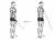Cable Reverse One Arm Curl