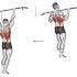 Chest Dip (on dip-pull-up cage)