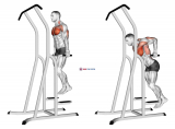 Chest Dip (on dip-pull-up cage)