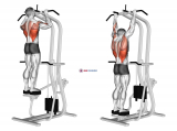 Assisted Standing Pull-up
