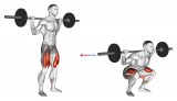 Barbell Low Bar Squat