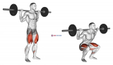 Barbell High Bar Squat