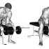 Barbell High Bar Squat