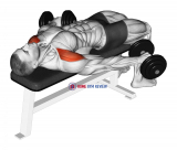Dumbbell Lying Pronated Grip Maltese Hold Isometric