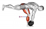 Dumbbell RDL Stretch Isometric