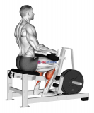Lever Calf Stretch (plate loaded) Isometric