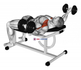 Dumbbell Incline 30 degrees Flye Hold Isometric