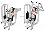 Lever Seated Shoulder Press