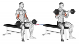 EZ Barbell Seated Curls