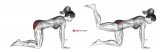 Bent Leg Kickback (kneeling)