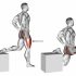 Straight Leg Kickback (kneeling)
