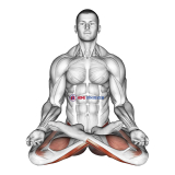 Full Lotus Yoga Pose