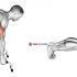 Barbell Lying extension