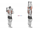 Band Behind Neck Shoulder Press