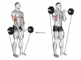 Band EZ Barbell Close-grip Curl