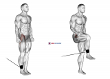 Band Hip Flexion