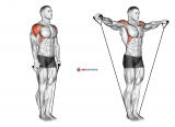 Band Lateral Raise (Version 2)