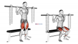 Barbell Bench Squat (With chains)