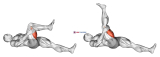 Hamstring Stretch
