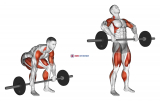 Barbell Clean Pull