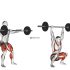 Barbell Hang Clean Below the Knees