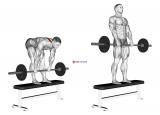 Barbell Stiff Leg Deadlift on Bench