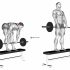 Barbell Squat to Upright Row