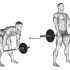 Barbell full Zercher Squat