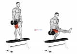 Dumbbell Bench One Leg Squat