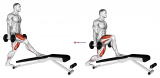 Dumbbell Decline Bench Lunge