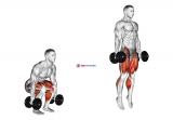 Dumbbell Jumping Squat