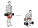 Dumbbell Squat