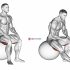 Exercise Ball Seated Quad Stretch
