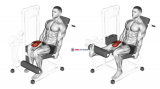 Lever One Leg Extension